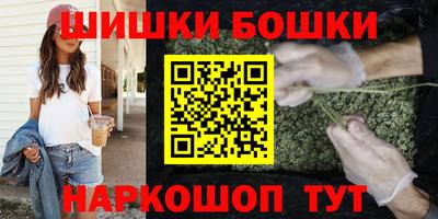индика Тула
