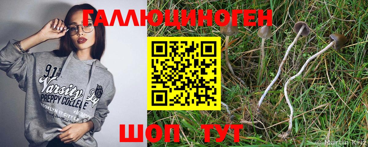 Псилоцибиновые грибы прущие грибы  Вход с VPN  Нижнеудинск 