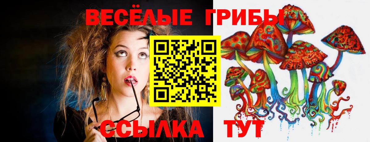 Галлюциногенные грибы MAGIC MUSHROOMS Нижнеудинск